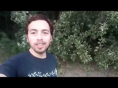 موشح سلب النوم خيال مر بي بصوت الصديق رمزي قشطال من مدينة سطيف الجزائر