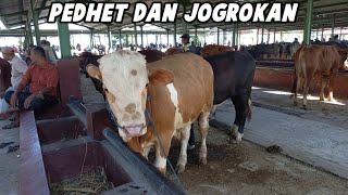 Download Lagu Pasar hewan kliwon Aktif lagi Review Sapi Pedhet dan Jogrokan Mulai 13 jt Sampai 22 jt.. MP3 Download Lagu Pasar hewan kliwon Aktif lagi Review Sapi Pedhet dan Jogrokan Mulai 13 jt Sampai 22 jt.. MP3