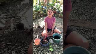 EPP PERFORMANCE TASK #Tree planting
