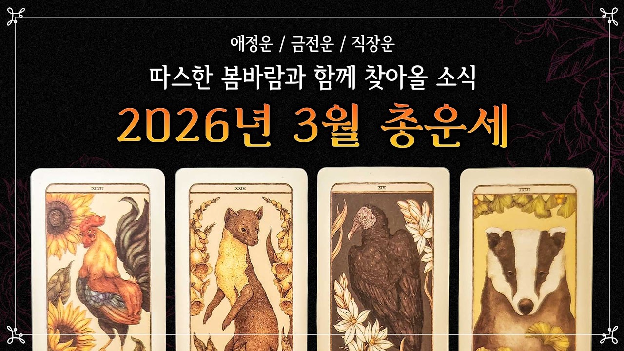 [타로] 2026년 3월 총 운세 | 막혔던 운이 풀리는 신호✨ | 연애운, 금전운, 직장학업운