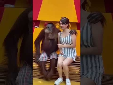 Selfie with Casanova Monkey! #funny #cute #circus