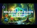 Release and block physical parasites influence  energetically programmed audio  maitreya reiki