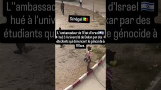 FREE PALESTINE DEPUIS LE SENEGAL #freepalestine #senegal #shortvideo