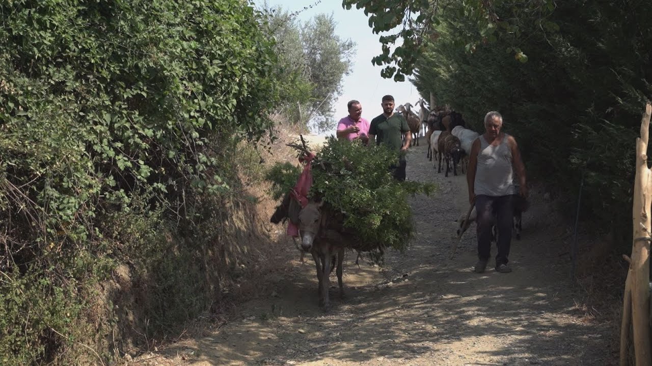 Të jetosh… në “zemër” të Shqipërisë… – Shqipëria Tjetër