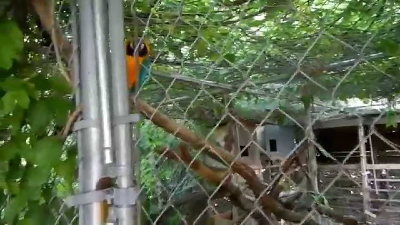 keeper security Rusty Wessel Parrots