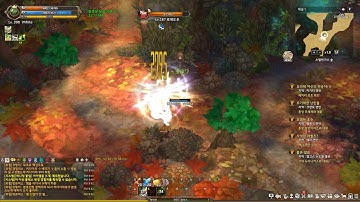 Tree Of Savior Game Play 20181114 20 43 19 624