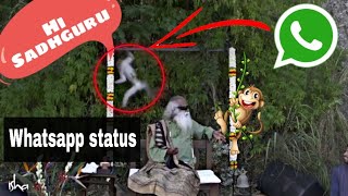 When Monkey meets Mystic. Whatsapp status video #Sadhguru