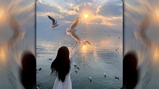 картинка: [SOLD] WHITE GALLOWS Type Beat - 