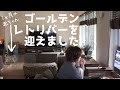 子犬の居るリビングになりました