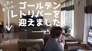 子犬の居るリビングになりました