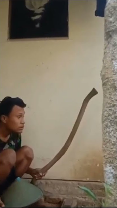 kaca brenggala kalagondang 😂😂😂 #shorts #lucu #storywa #lirikjawa