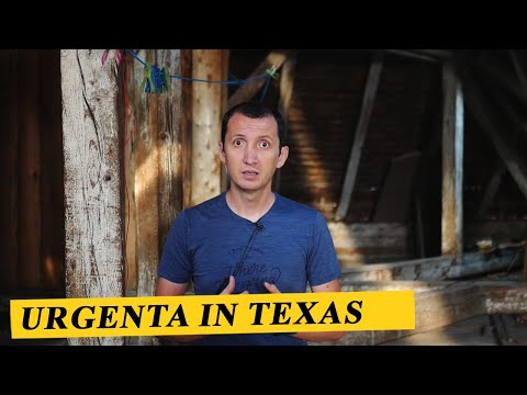 Video: Cum Te Cunoașteți Din Nou în Texas