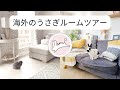 うさぎのお部屋紹介！(海外)