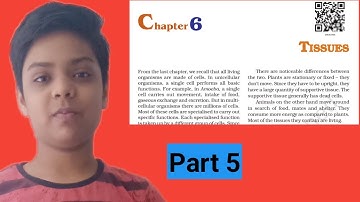 Class 9th science chapter 6 tissues Part 5 biology full explanation in hindi/A.R Active study