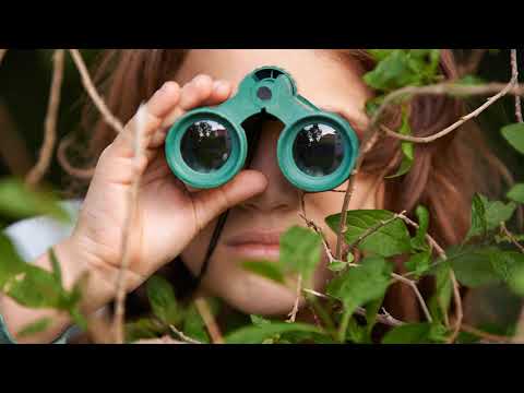 Спостереження за птахами пов’язане з покращенням здоров’я мозку та когнітивної стійкості