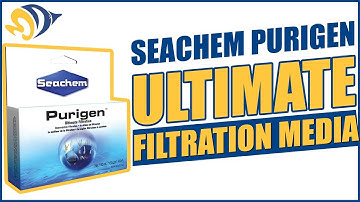 Seachem Purigen Ultimate Filtration Media: What YOU Need to Know