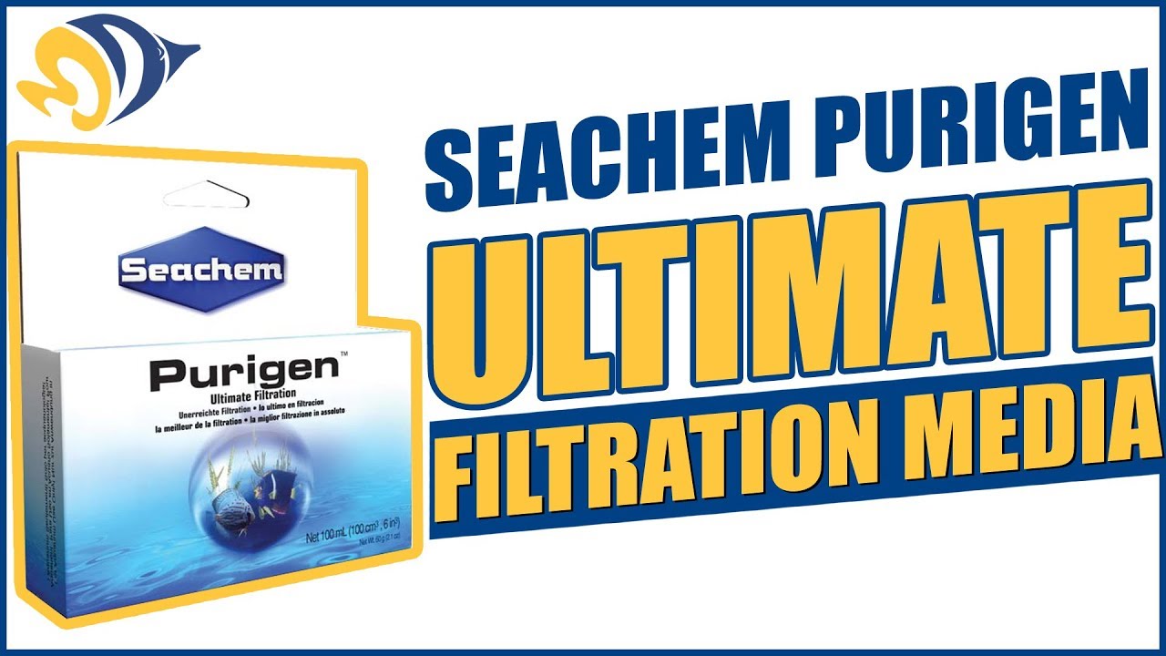 Seachem Purigen Ultimate Filtration Media What YOU Need to Know YouTube