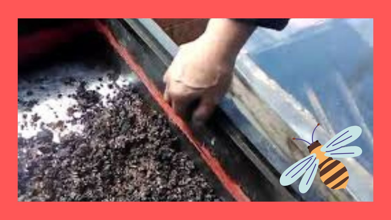 COMO HACER UN DESERIFICADOR CASERO PARA LA CERA DE LAS ABEJAS