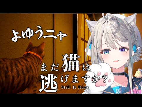【まだ猫は逃げますか?】不気味な男から逃げる👻【 本阿弥あずさ / すぺしゃりて 】 video thumb