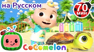 Морские Животные | Детские Песенки Cocomelon