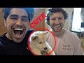 BOYFRIEND SURPRISES ME WITH PUPPY!!