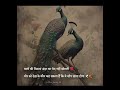 true' #🦚🦚#viealshorts#tredingshorts