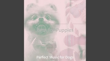 Pulsating Ambience for Quiet Dogs