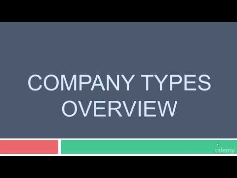 Python for Data Structures, Algorithms, and Interviews 001 Company Types Overview