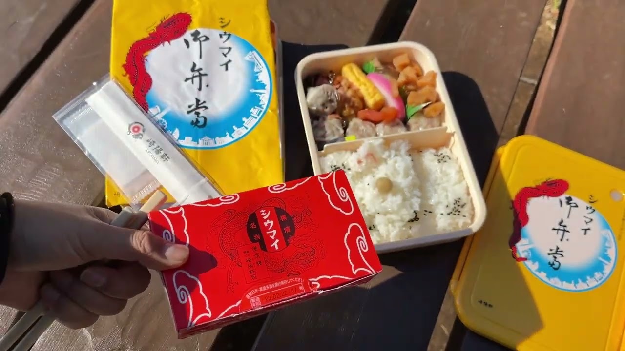 崎陽軒 シウマイ弁当箱2個セット