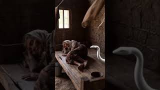 #kisahnyata#simbolisme#videosinematik#mythicalvibes#animalstory #aiart#shortfilm#foryou