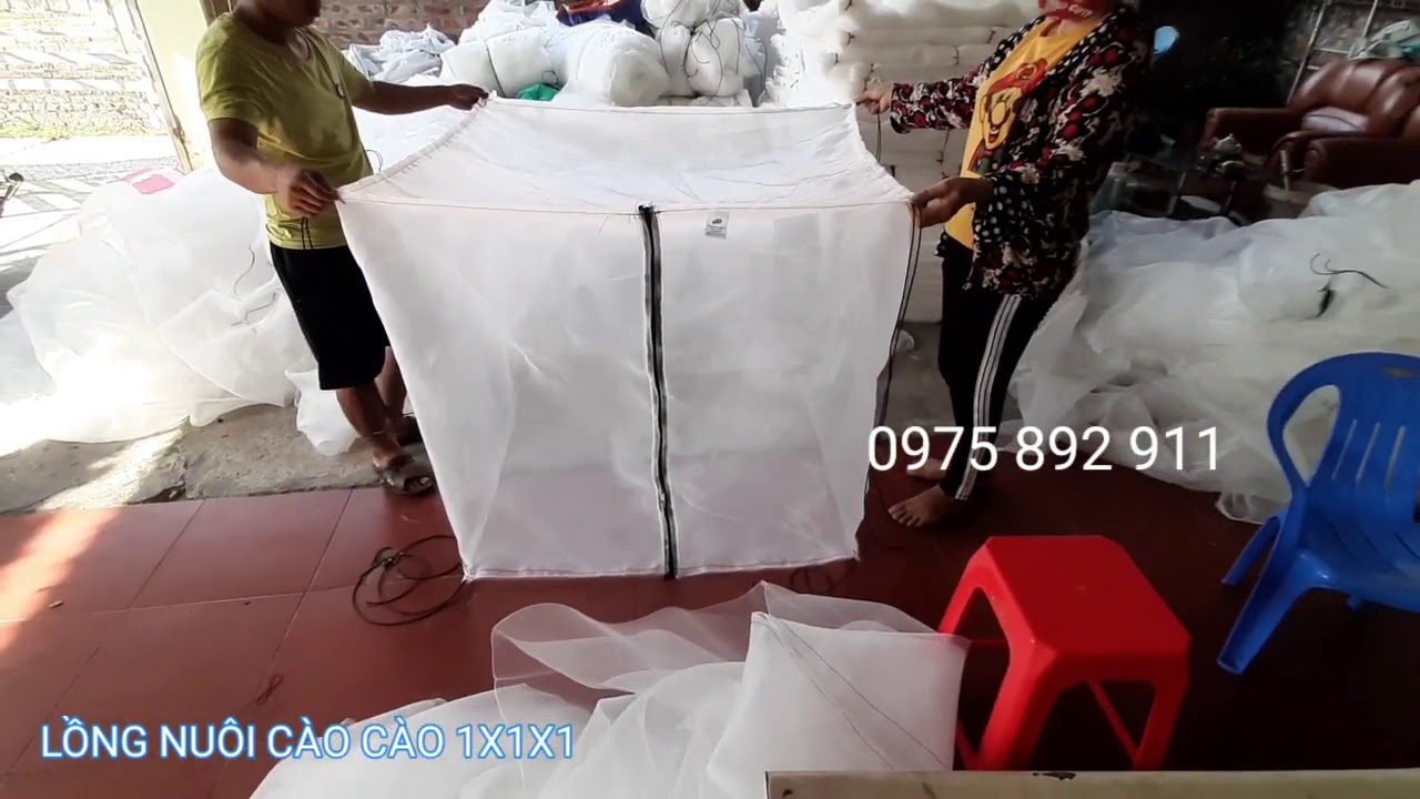 Chia sẻ 82 về cài cào mới nhất  Tin Học Vui