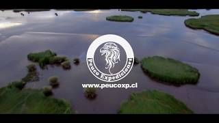 Peuco Expediciones SpA - 2016 Turismo en Carahue