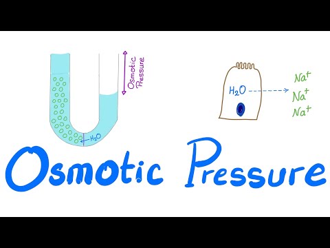 Video: Cum acționează presiunea osmotică?
