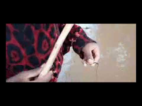 Haachaalu Hundeessaa New Album 2021