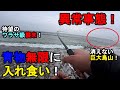 【茨城県某所】晩秋の海で異常事態発生！特大青物無限に入れ食い！関東地方の太平洋側に面している砂浜エリア（鹿島灘サーフ）で、ルアー釣りのショアジギングの特訓をしていたら…！【2025年11月中旬〜下旬】