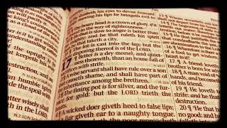Proverbs 17 KJV