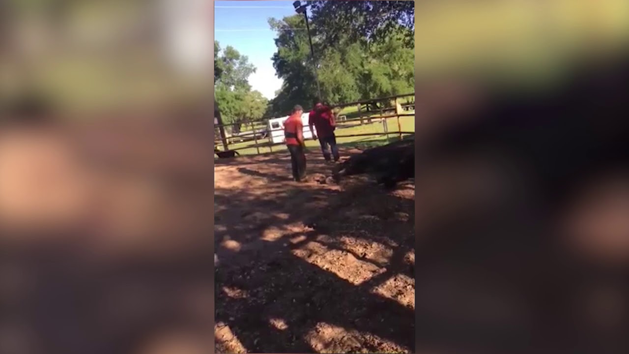 ������������