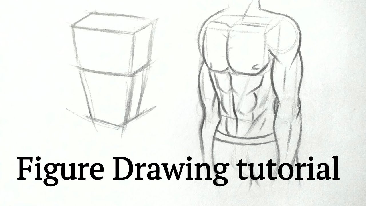 How To Draw Human Figure Drawing Male Torso Easy For Beginners Pencil