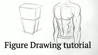 How to draw human figure drawing Male Torso easy for Beginners| Pencil drawing tutorial easy Basics