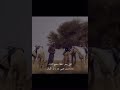 Ш Щ ЩЋЩЂШЁЩ ЩЉ Ш Ш Ш Щ Ш Ш Ш ЩЋ ШіЩ Ш Ш Щ Щ ЩЂШЁШ Щ в ҐпёЏрџҐµ Ш Щ ЩЋЩЂШЁЩ ЩЉ Ш Ш Ш Щ Ш Ш Ш ЩЋ ШіЩ Ш Ш Щ Щ ЩЂШЁШ Щ в ҐпёЏрџҐµ