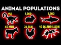 Smallest and Largest Animal Populations: Comparison