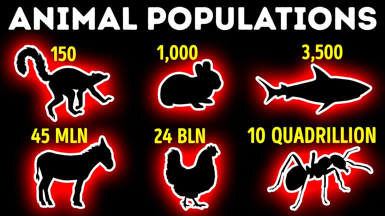 ⁣Smallest and Largest Animal Populations: Comparison