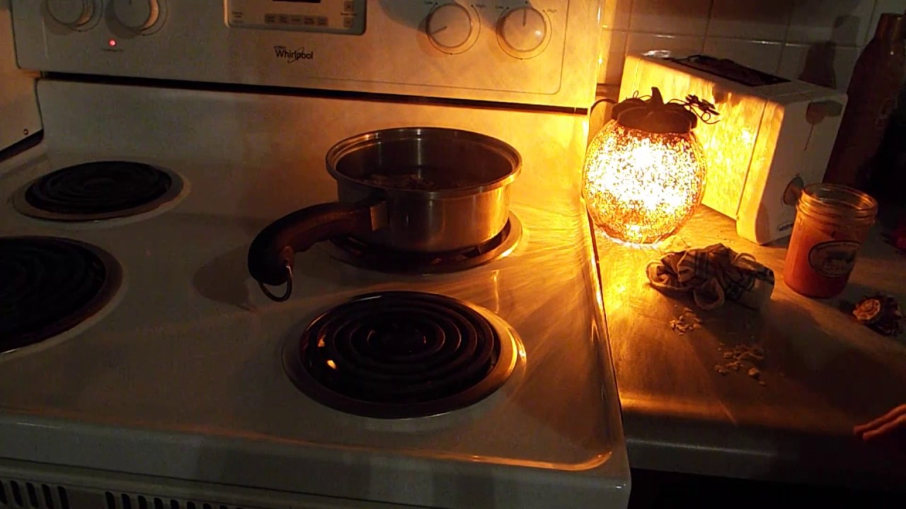 How to boil shells for hermit crabs. - YouTube