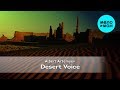 Albert Artemyev  - Desert Voice (Альбом 2011)