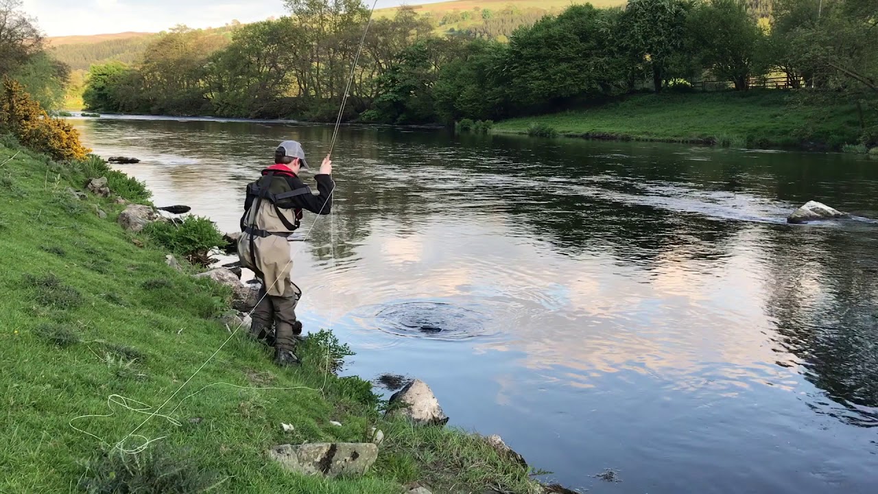 Fishing the mayfly hatch on the River Dee, Wales 