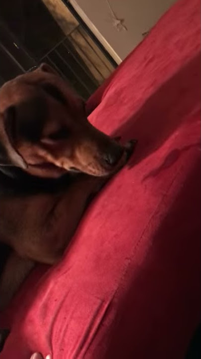 Pluto coughing fit