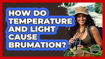How Do Temperature And Light Cause Brumation? - Reptilian Wonders
