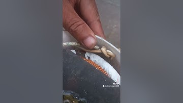 chế 1 cục đổi điện 220v-110v từ ổn áp lioa hỏng