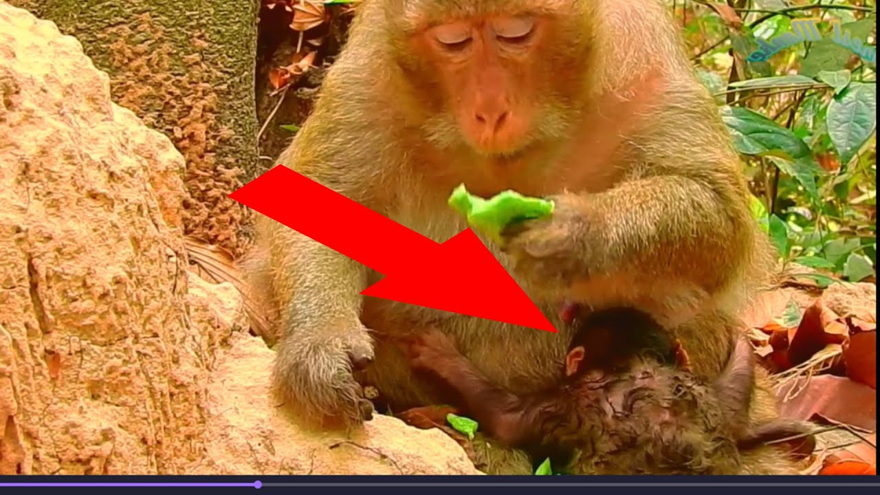Wonder ! why does new born baby  do like this 