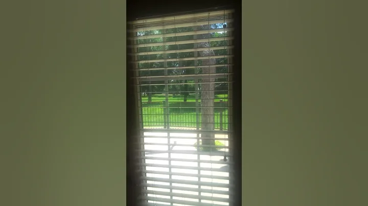 Brazos River Property 4Sale